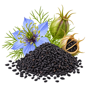 Kalonji