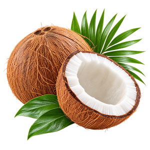 Coconut